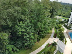 Eco Sanctuary (D23), Condominium #136649512